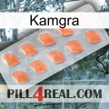 Kamgra 26
